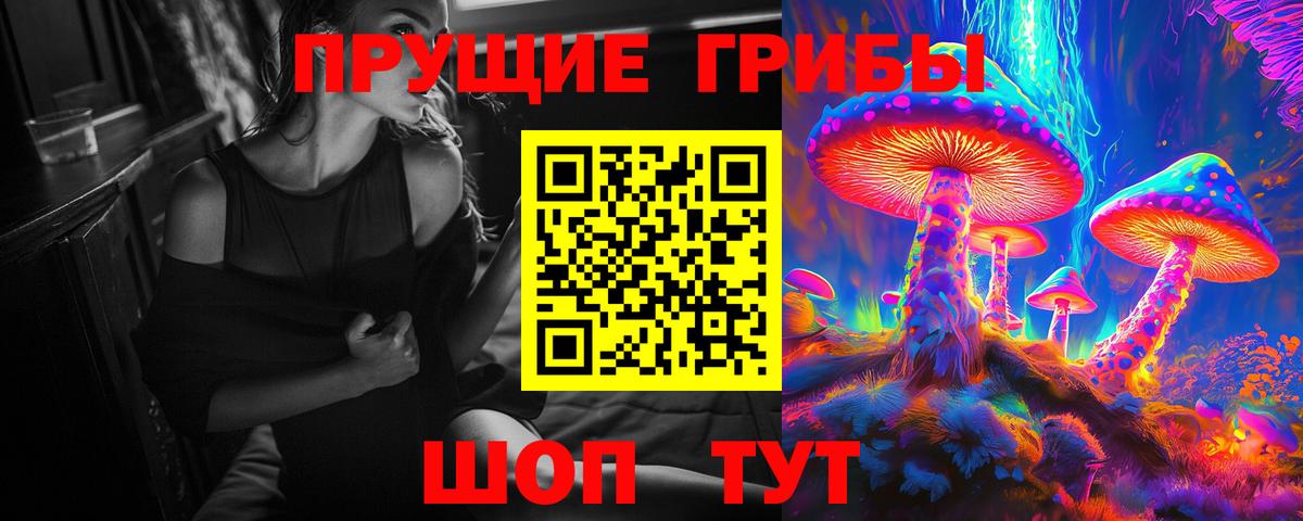 закладка  Псилоцибиновые грибы ЛСД  Красноярск  Вход с VPN  Галлюциногенные грибы ЛСД 