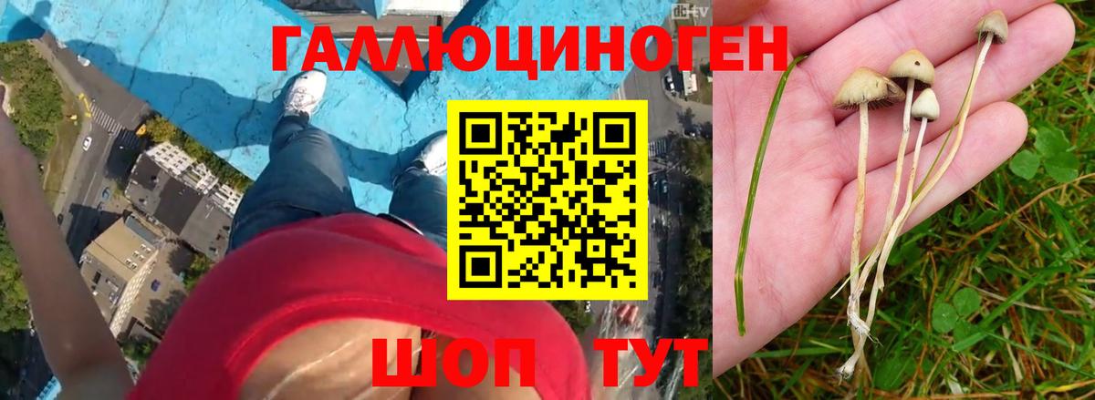 Галлюциногенные грибы мицелий Красноярск